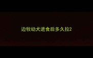边牧幼犬进食后多久拉
