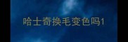 哈士奇换毛变色吗