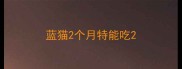 蓝猫2个月特能吃
