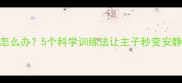 猫咪太吵闹怎么办5个科学训练法让主子秒变安静小天使