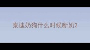 泰迪奶狗什么时候断奶