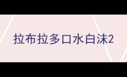 拉布拉多口水白沫