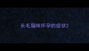 长毛猫咪怀孕的症状