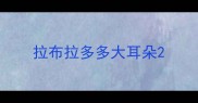 拉布拉多多大耳朵