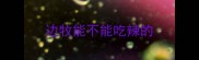 边牧能不能吃辣的
