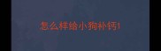 怎么样给小狗补钙