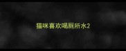 猫咪喜欢喝厕所水