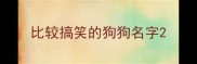 比较搞笑的狗狗名字