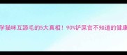 科学猫咪互舔毛的5大真相90铲屎官不知道的健康隐患