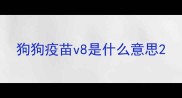 狗狗疫苗v8是什么意思