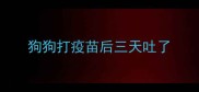 狗狗打疫苗后三天吐了
