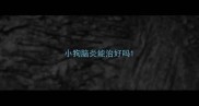 小狗脑炎能治好吗