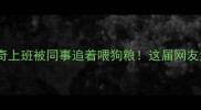 打工人带哈士奇上班被同事追着喂狗粮这届网友太会玩了吧