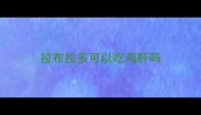 拉布拉多可以吃鸡肝吗