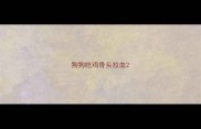 狗狗吃鸡骨头拉血