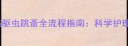 两个月大幼猫驱虫跳蚤全流程指南科学护理与预防要点