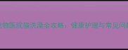 专业宠物医院猫洗澡全攻略健康护理与常见问题解答