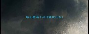 哈士奇两个半月能吃什么