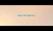 哦哈士奇与狼的对比
