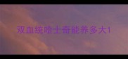 双血统哈士奇能养多大
