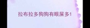 拉布拉多狗狗有眼屎多