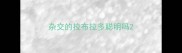 杂交的拉布拉多聪明吗