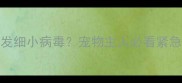 疫苗后第三天突发细小病毒宠物主人必看紧急处理与预防指南