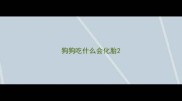 狗狗吃什么会化胎