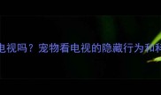 狗狗真的能看懂电视吗宠物看电视的隐藏行为和科学依据养宠必看