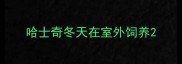 哈士奇冬天在室外饲养
