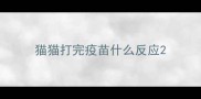 猫猫打完疫苗什么反应