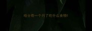 哈士奇一个月了吃什么食物