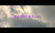 泰迪泪痕严重怎么办