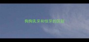 狗狗乳牙和恒牙的区别