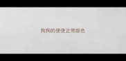 狗狗的便便正常颜色