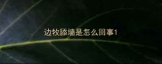 边牧舔墙是怎么回事