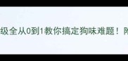 拉布拉多体味等级全从0到1教你搞定狗味难题附清洁护理秘籍