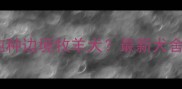 西安哪里能买到纯种边境牧羊犬最新犬舍推荐及选购指南