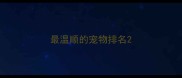 最温顺的宠物排名