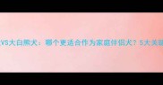 金毛犬VS大白熊犬哪个更适合作为家庭伴侣犬5大关键对比