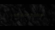 小狗拉稀还吐怎么回事