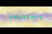 买哈士奇注意什么