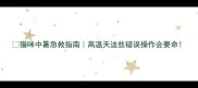 猫咪中暑急救指南高温天这些错误操作会要命