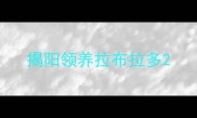 揭阳领养拉布拉多