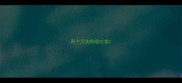 两个月狗狗爱吃草