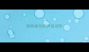 狗狗最怕的声音试听