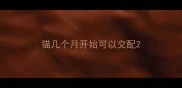 猫几个月开始可以交配