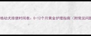 史宾格幼犬排便时间表0-12个月黄金护理指南附常见问题