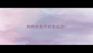 狗狗毛色不好怎么办