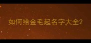 如何给金毛起名字大全